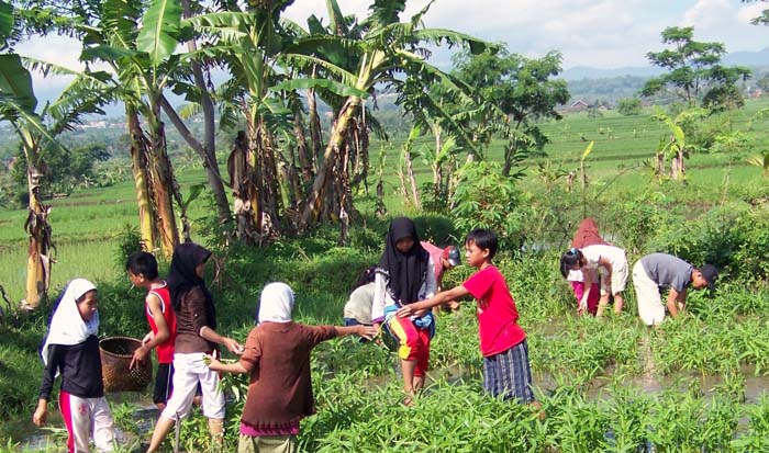 Pertanian, Ladang Zikir Santri Milenia